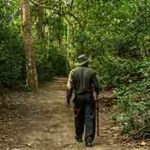 Five Easy and Simple Survival Tips – Chitwan National Park