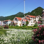 Organising Family Holidays