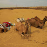 Desert Safari in Jaisalmer Part 2 – Scams in Jaisalmer that You Should Know