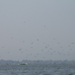 Inle Lake Boat Tour Chronicles Part 6 – Ancient Ruins of Indein