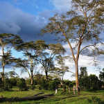 A Little Taste of Paradise on the Coast of Kenya