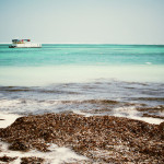 Exploring the Caribbean