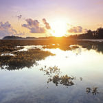 Bintan – Affordable Golf Destination in Asia